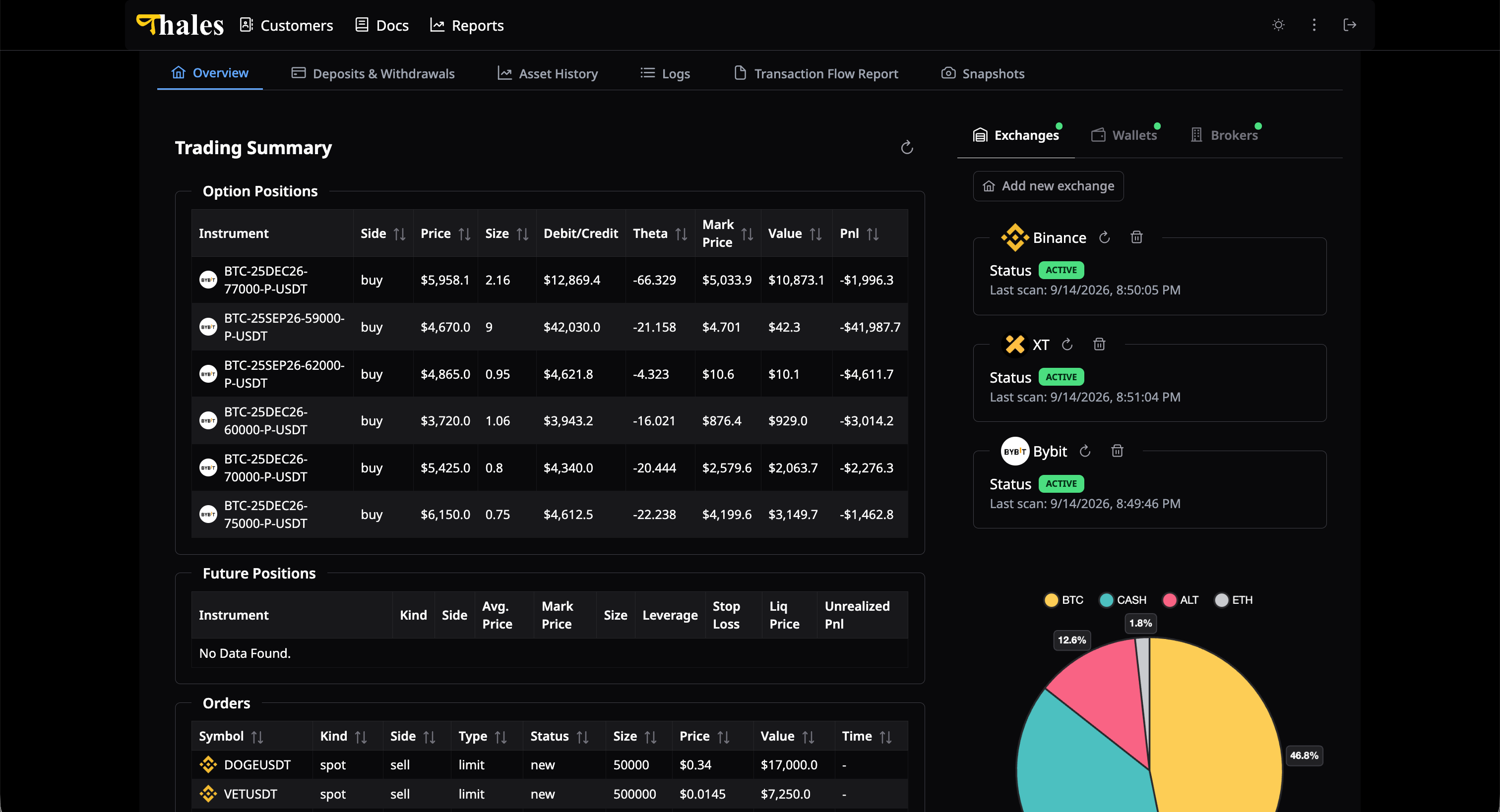CPM overview. Option positions, open orders, connected exchanges, and a portfolio mix chart.